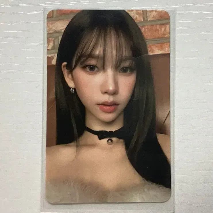 핑크 크리스마스 카리나 포카