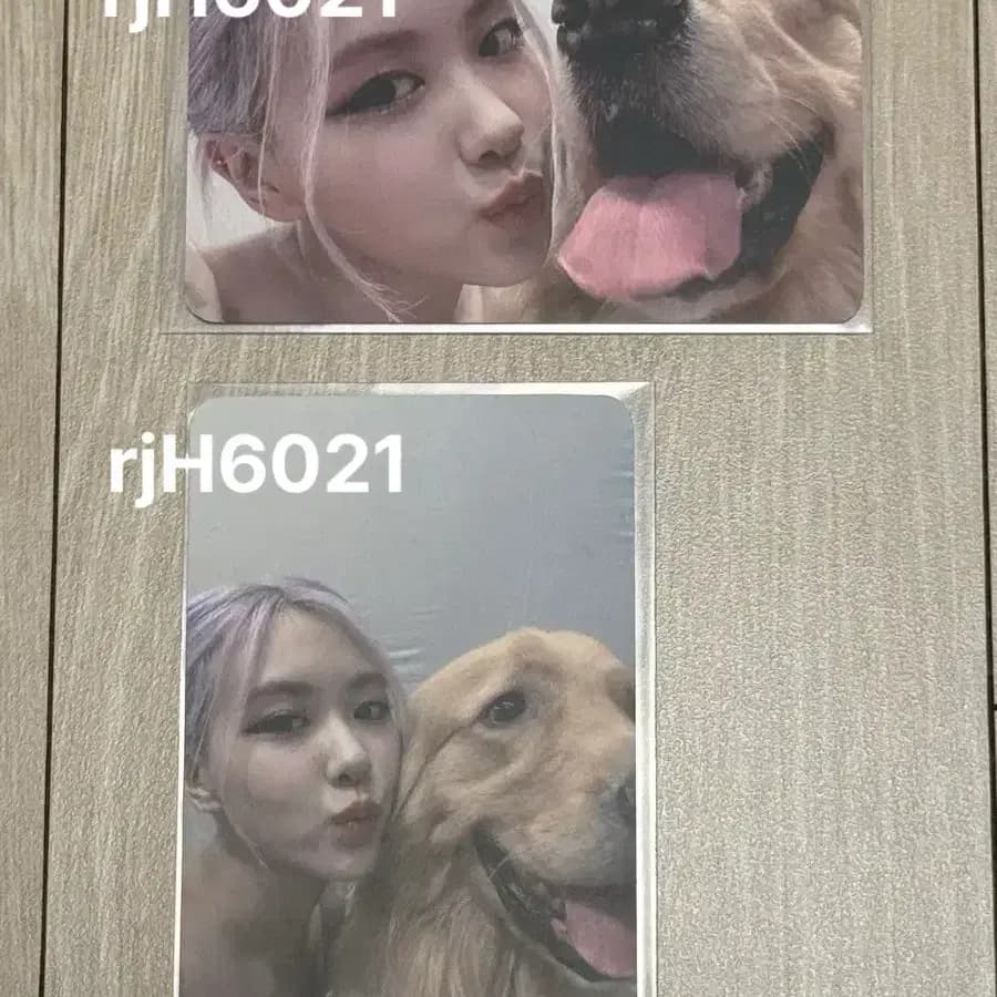 블랙핑크 더앨범 케타포 특전 로제 포카 양도해요 1