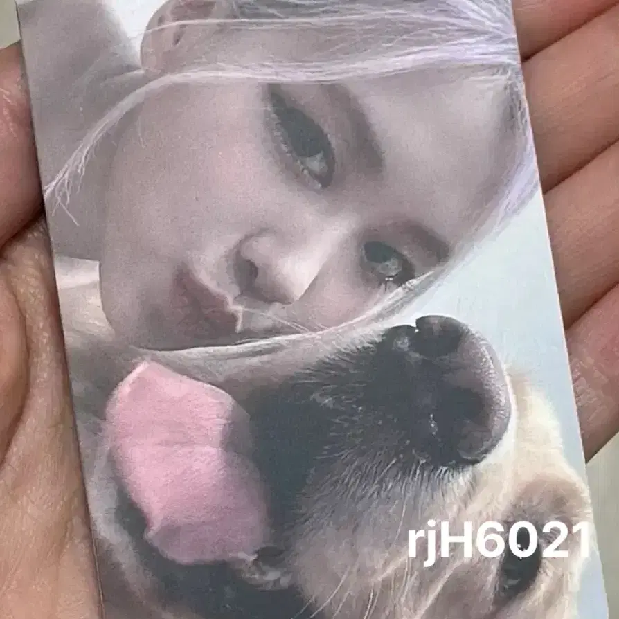 블랙핑크 더앨범 케타포 특전 로제 포카 양도해요 2