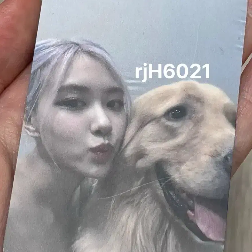 블랙핑크 더앨범 케타포 특전 로제 포카 양도해요 4