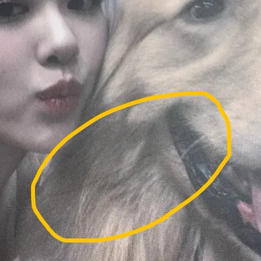 블랙핑크 더앨범 케타포 특전 로제 포카 양도해요 6
