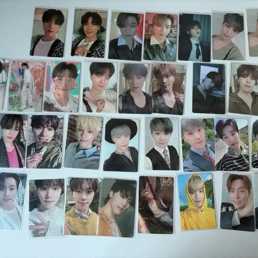 세븐틴 디노 포카 양도
