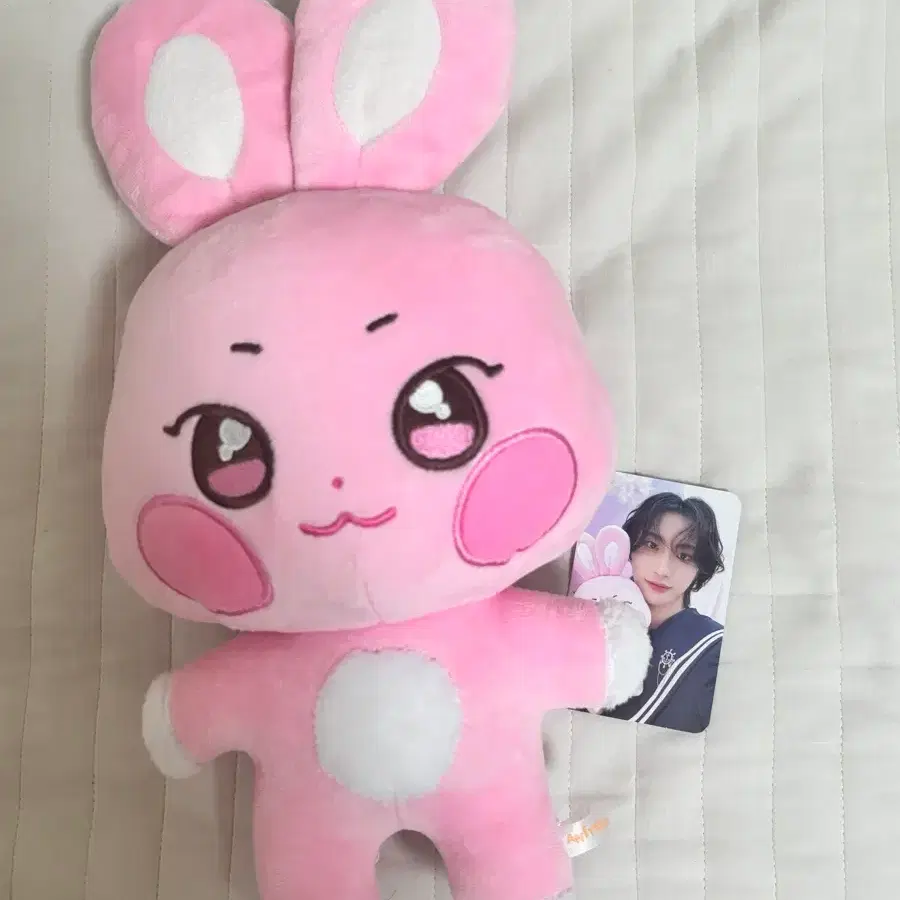 에이티즈 성화 떵별이 봉제 인형 (포카 포함) 1