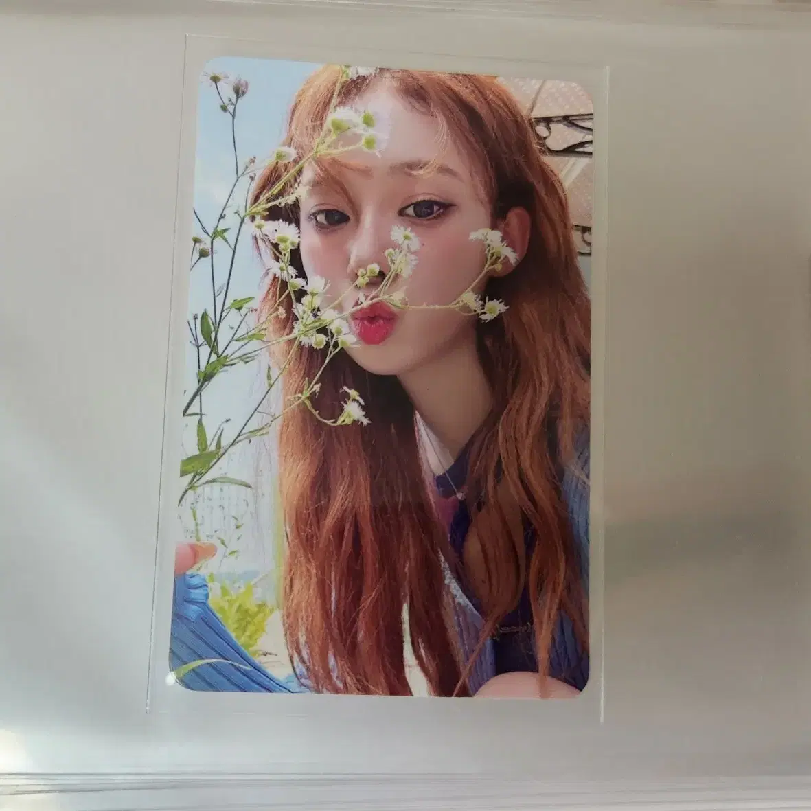 에스파 윈터 포카