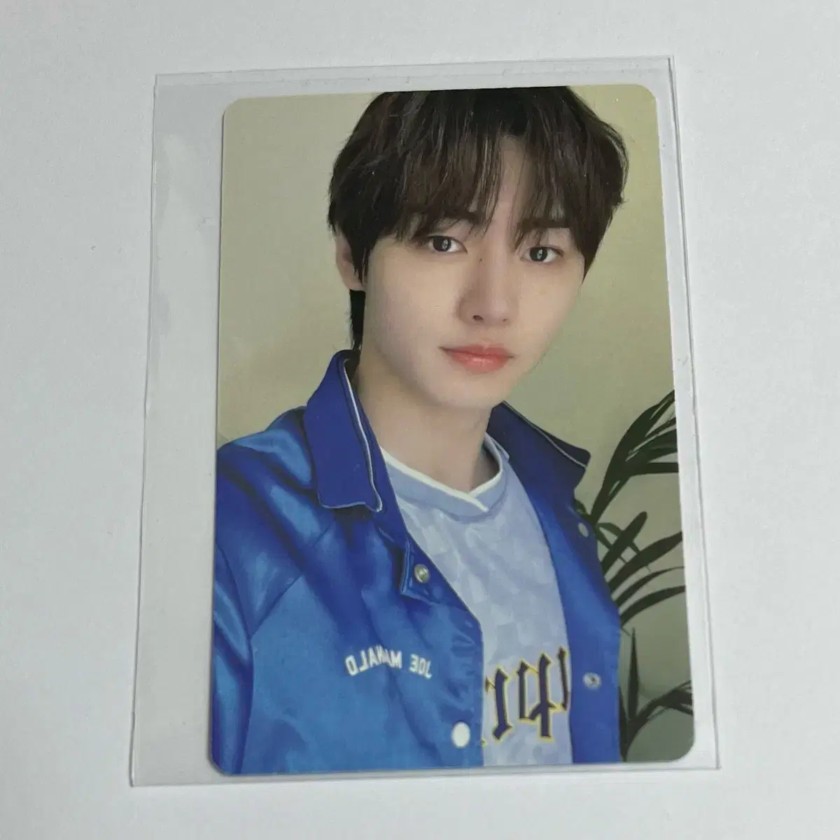 엔하이픈 성훈 박성훈 2023 시즌그리팅 포카 1