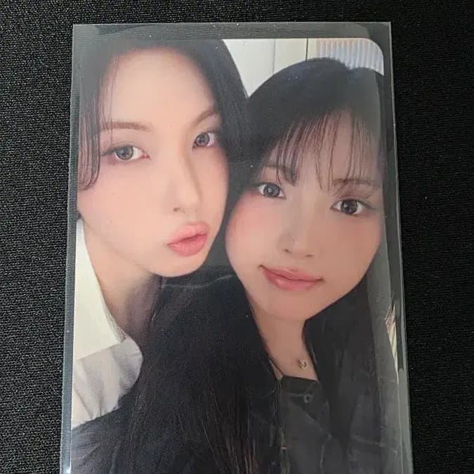 엔믹스 메이크스타 팬싸인회 당첨자 유닛 포카 1