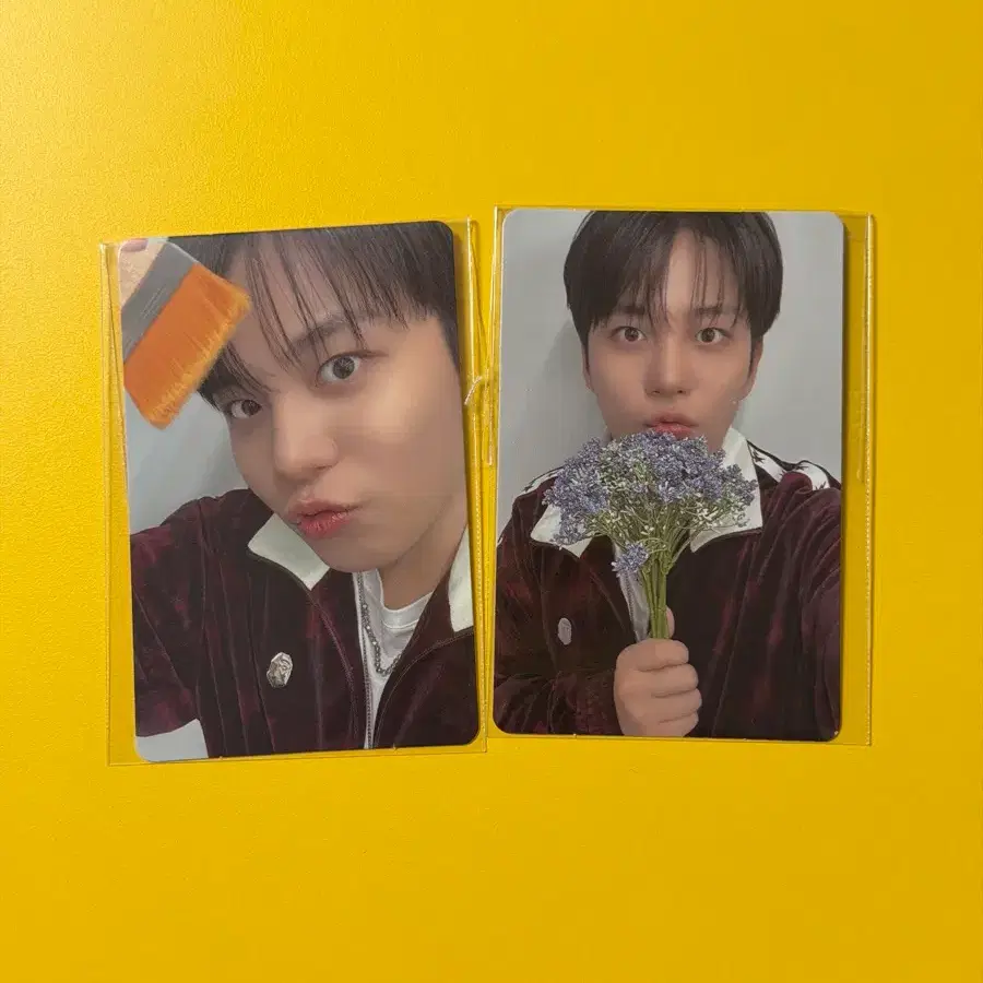 에이티즈 애니티즈 구매특전 종호 1