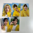 세븐틴 캐럿반 포토카드 (쿱스정한지수준호시우지디에잇도겸승관버논 1