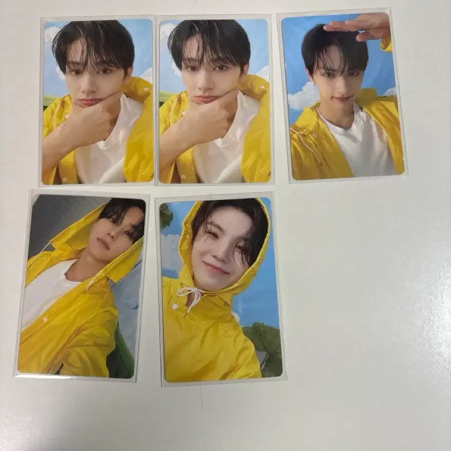 세븐틴 캐럿반 포토카드 (쿱스정한지수준호시우지디에잇도겸승관버논 2
