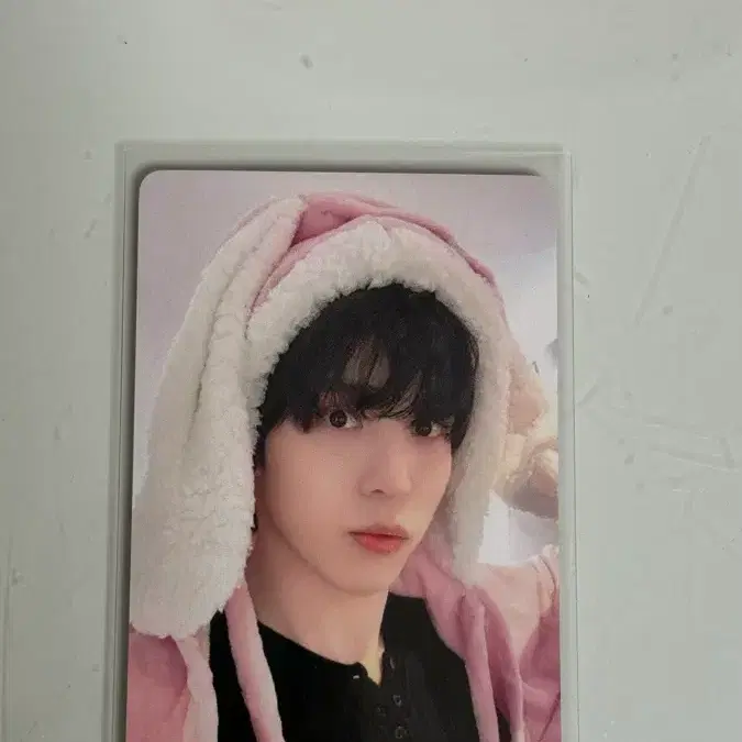 에이티즈 윤호 헬로라이브 토끼담요 포카 1