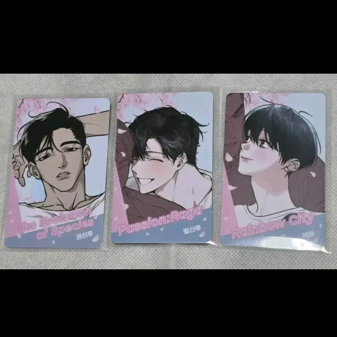 비엘 녹티아 팝업 랜덤 종의 진화 패션 라가 레인보우시티 링신루 포카
