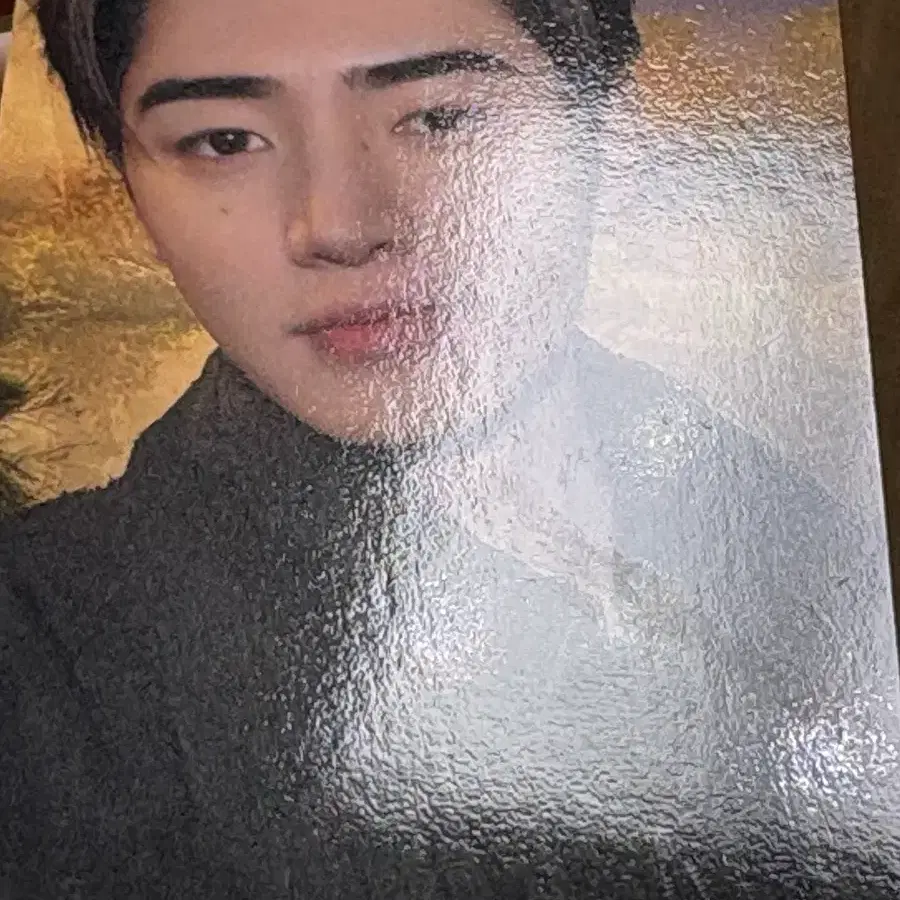 엔하이픈 성훈 블러드 사가 포카 2