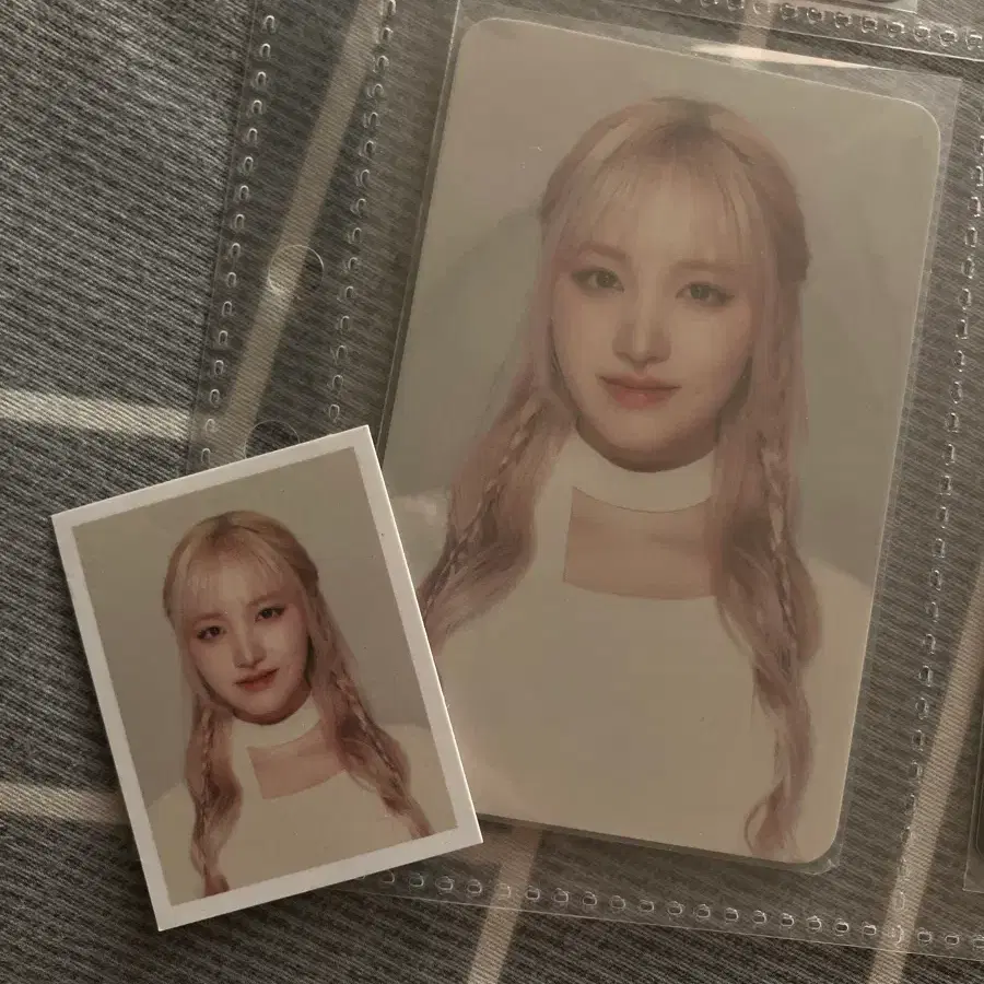 리즈 포카 증사