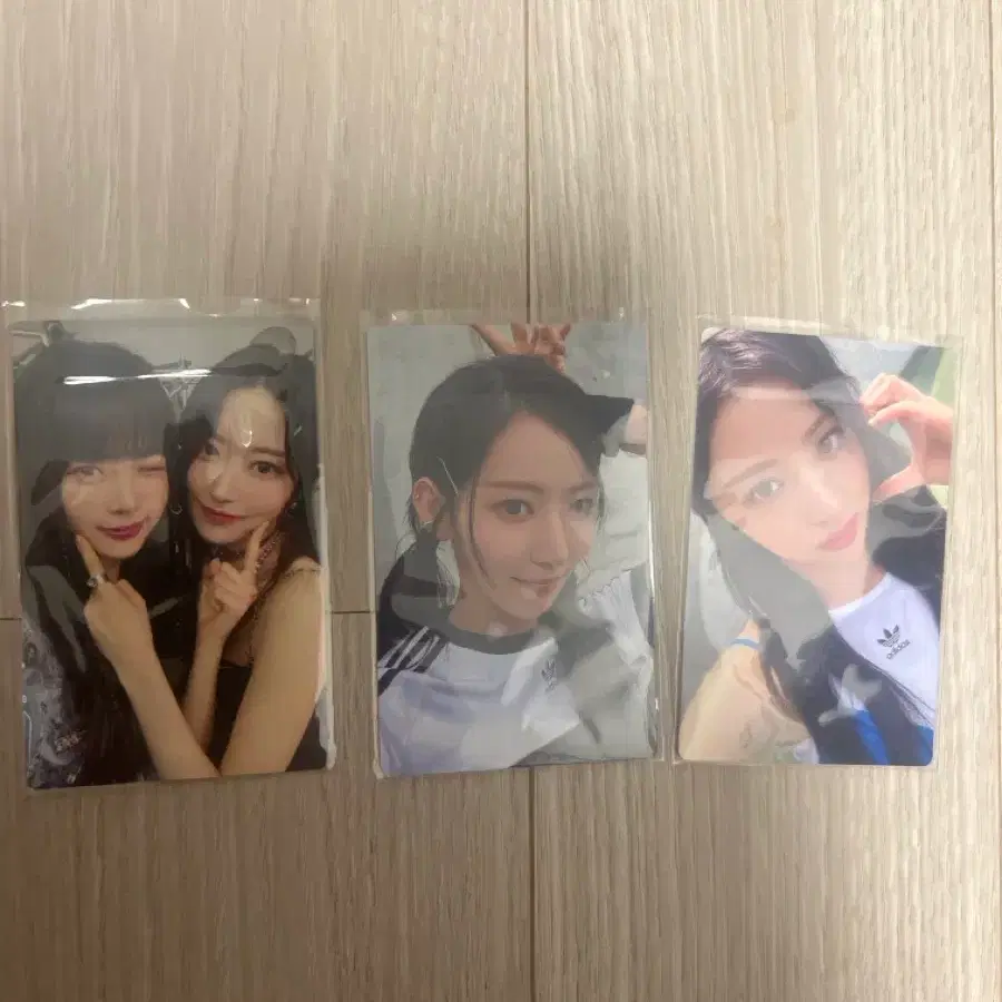 일본 르세라핌 포카 (윤진,꾸라, 꾸라은채유닛)