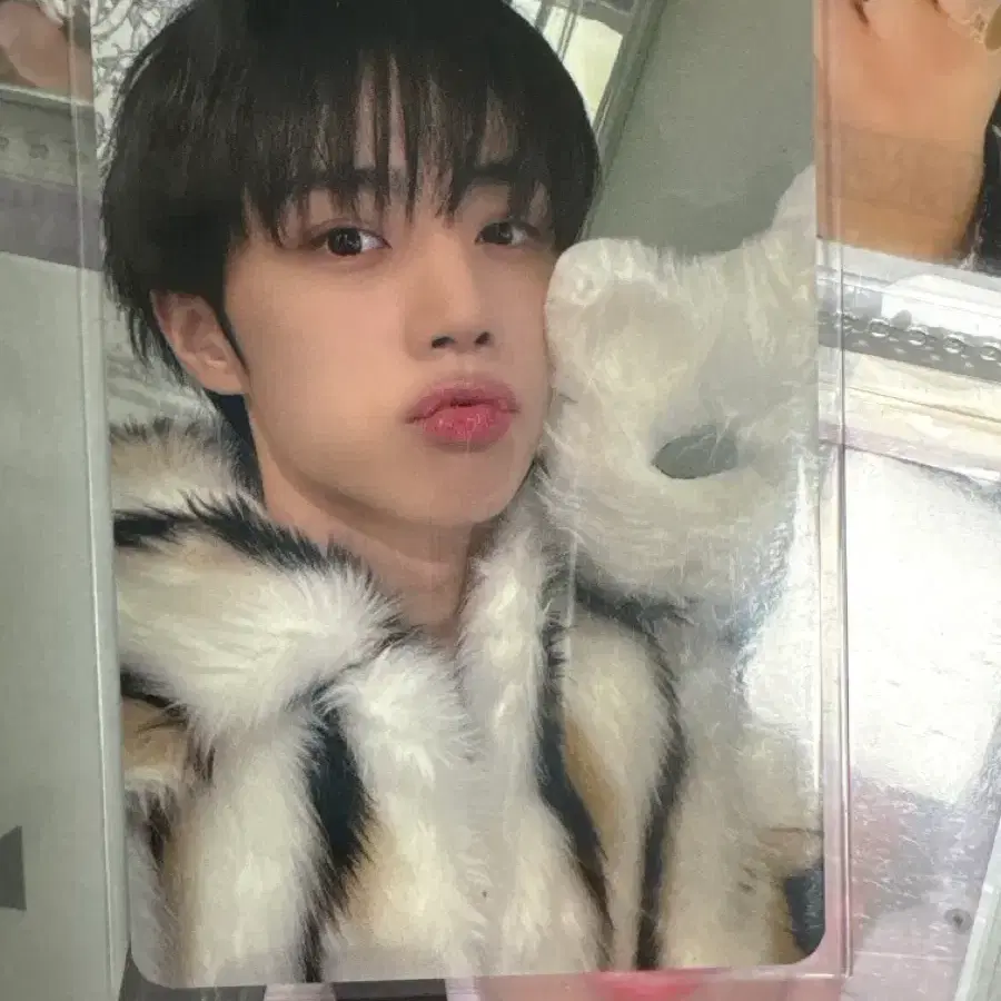 더보이즈 선우 포카마켓 포카 양도 판매 1