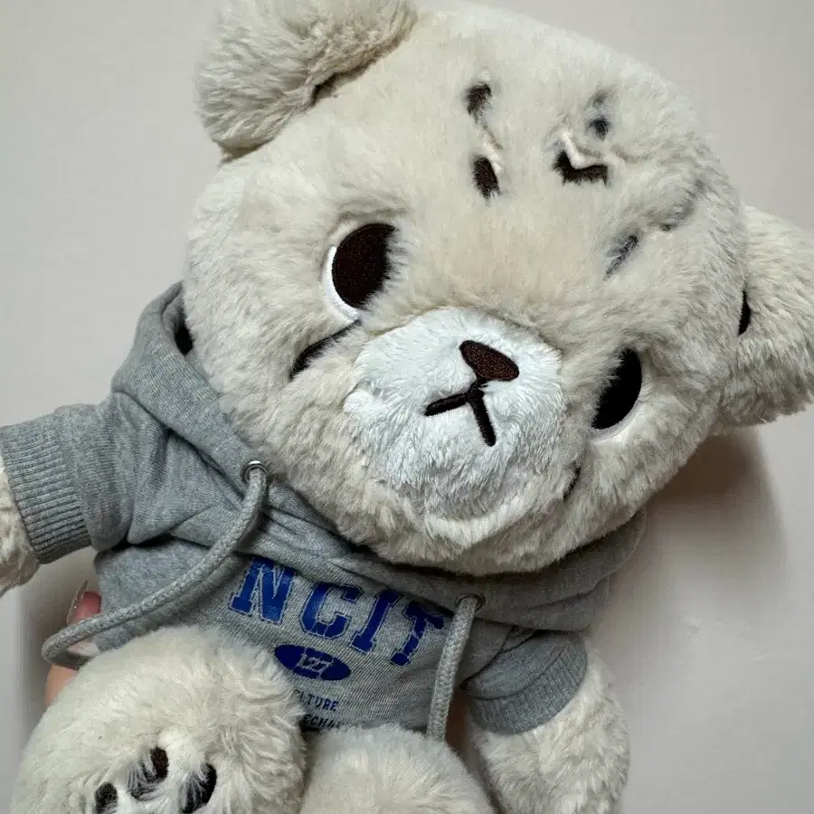 치타리 40cm 왕타리 nct 엔시티 마크 인형 포카 mark md 굿즈 3