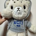 치타리 40cm 왕타리 nct 엔시티 마크 인형 포카 mark md 굿즈 5