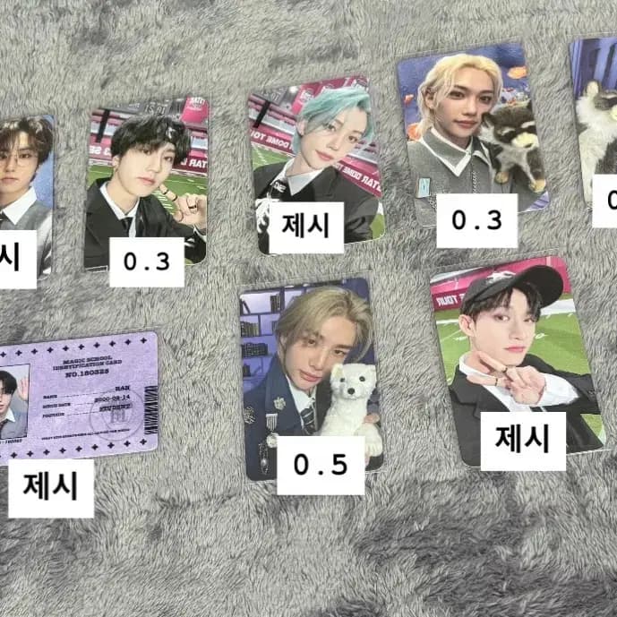 스트레이키즈 포토카드 양도