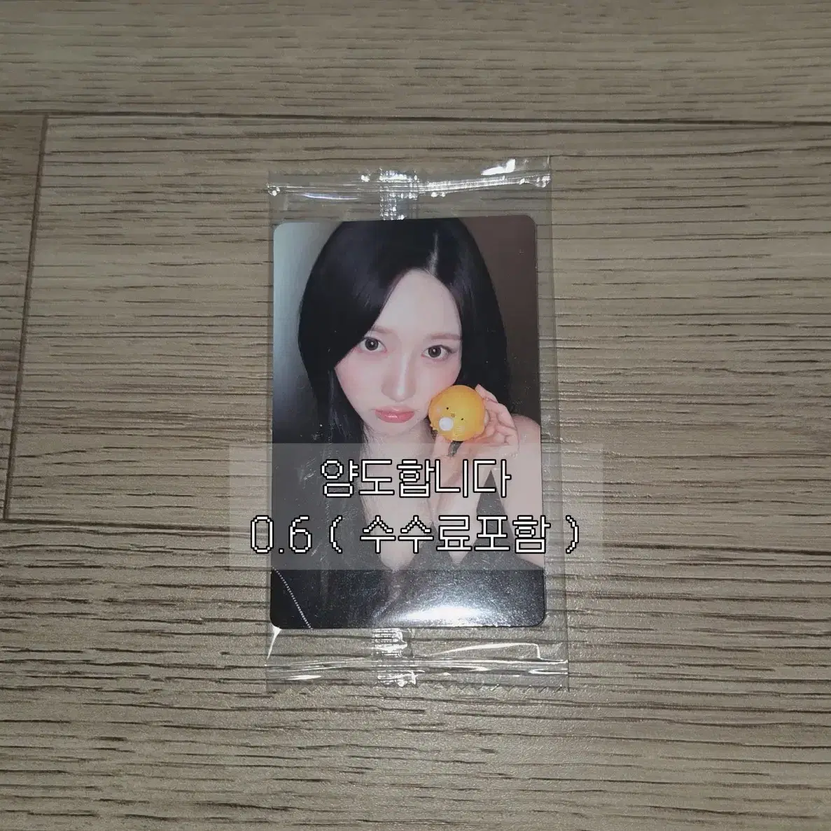 아이브 가을 리바이브 케타포 병아리 미공포 포카 포토카드