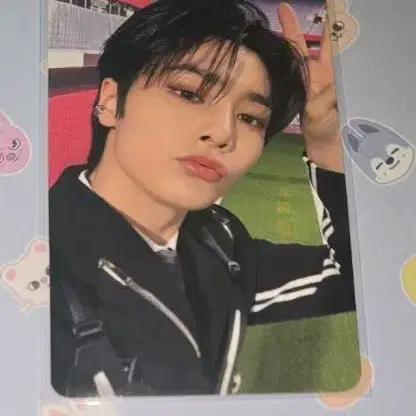 스트레이키즈 아이엔 콘서트 스테이존 포카 양도