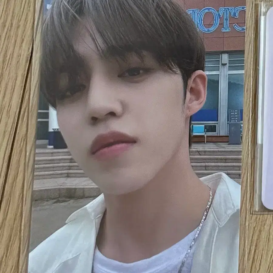 세븐틴 에스쿱스 쿱굴굴 인형 양도해요! (포카 덤) 2