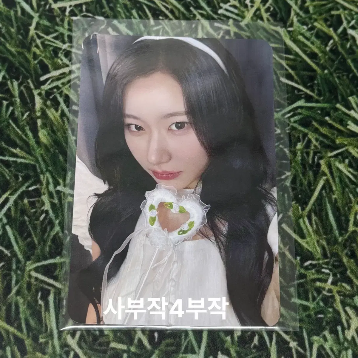 있지 모토 팝업 럭드 천사 채령 포카 럭키드로우 ms 특전 포카
