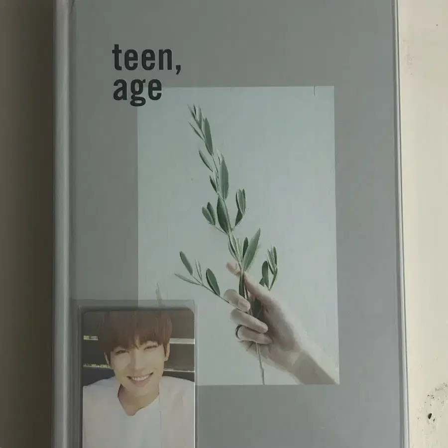 세븐틴 틴에이지 박수 화이트 개봉앨범 박화원 전원우 포카 양도
