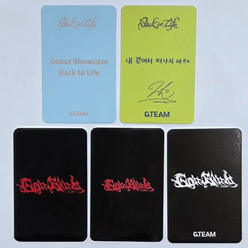 &TEAM 앤팀 마키 포카 포토카드 2
