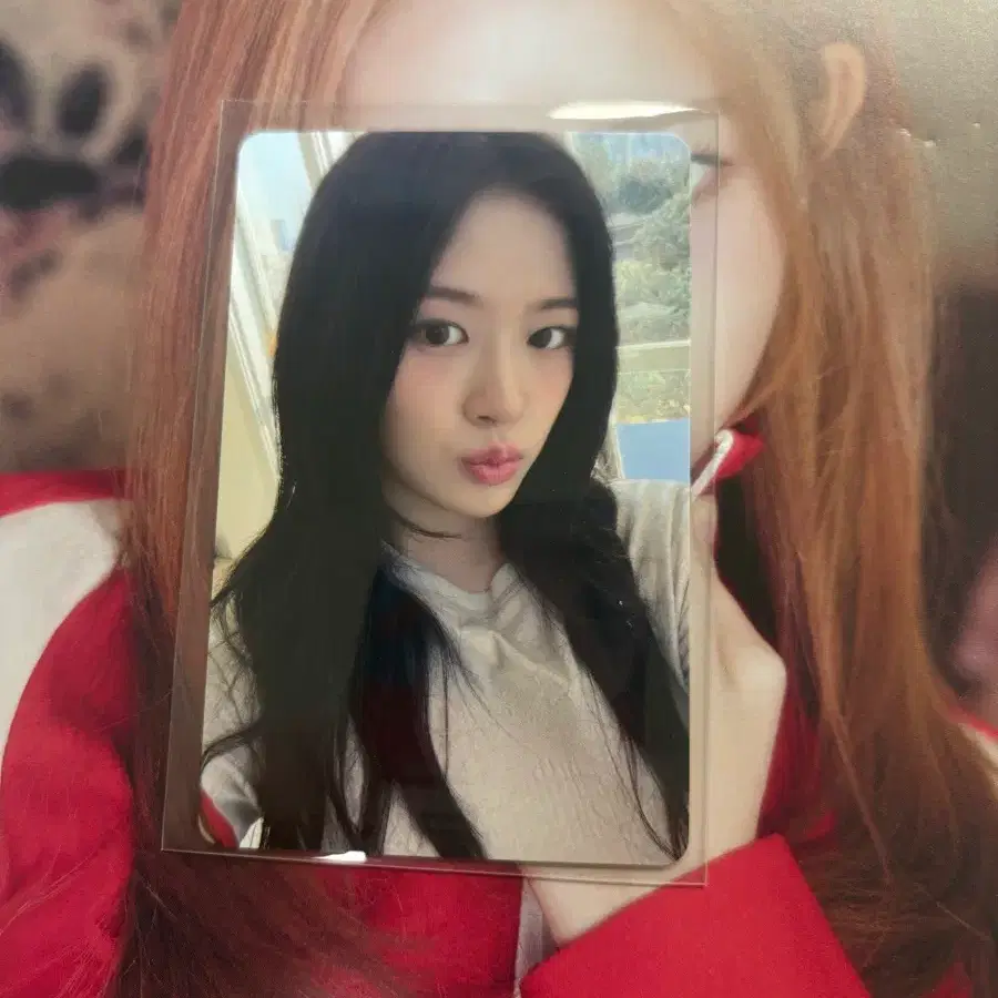 아이브 Lucidream루시드드림 일본타워레코드 특전미공포 유진 포토카드