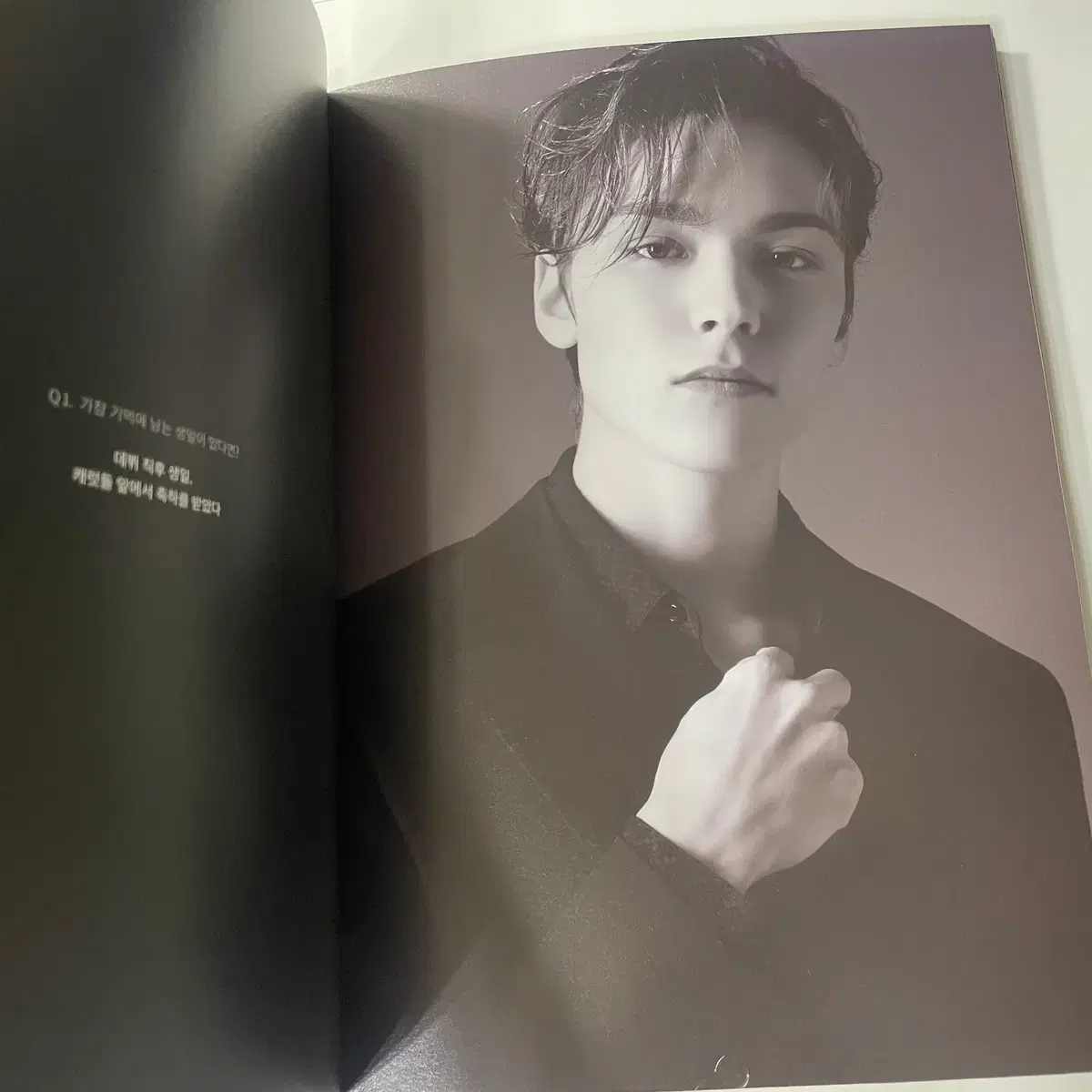 세븐틴 버논 생박 1,2 버전(포카, 포토북 등) 9