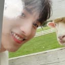 세븐틴 소셜클럽 포카, 위버스 특전 포함 풀박 7