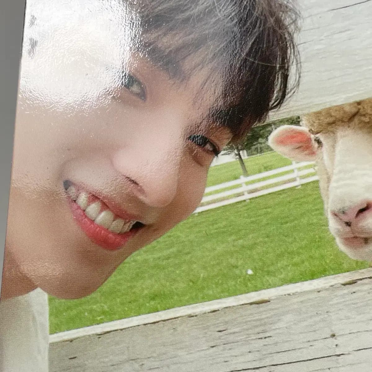 세븐틴 소셜클럽 포카, 위버스 특전 포함 풀박 7
