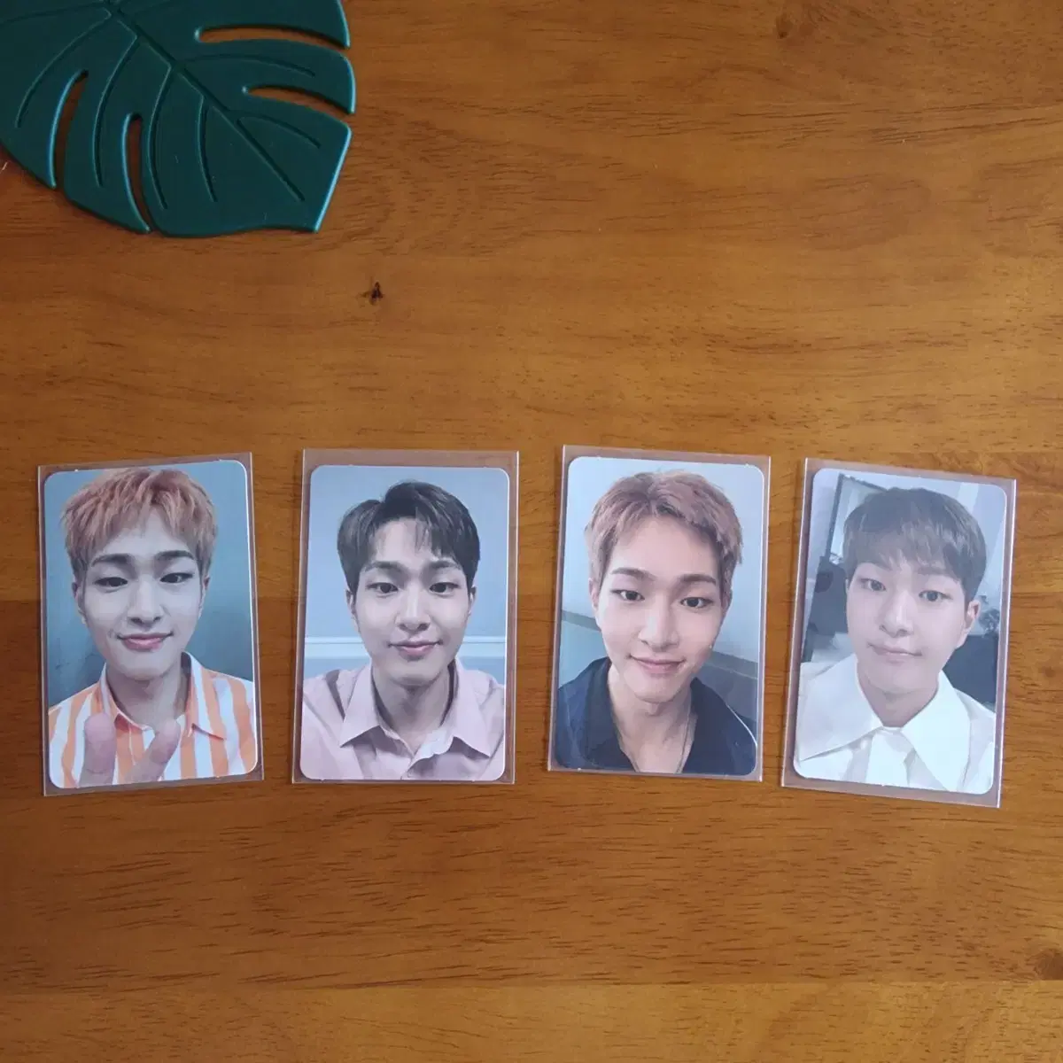 샤이니 6집 온유 포카 모음 1