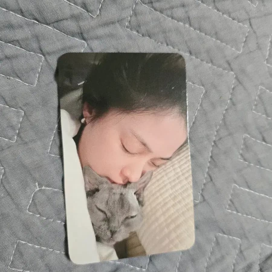 있지모토공방포카 류진