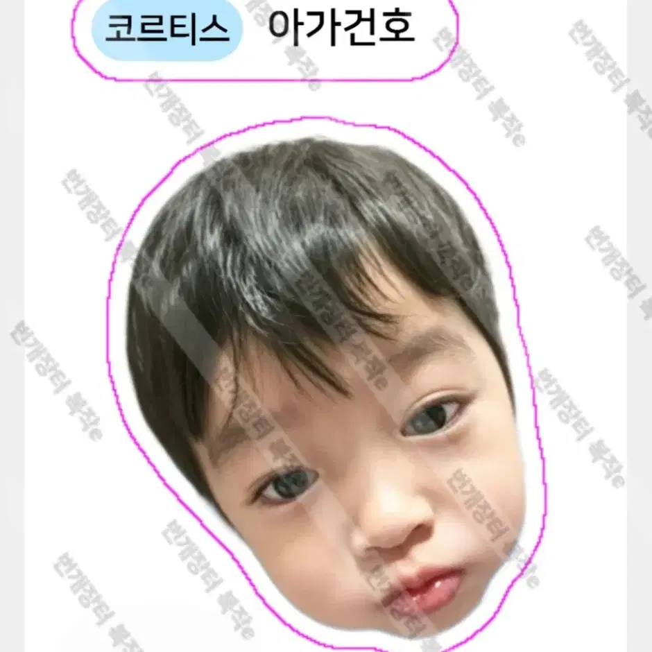 코르티스 아가 건호 제임스 성현 띠부씰 스티커 포카 주훈 마틴 비공굿