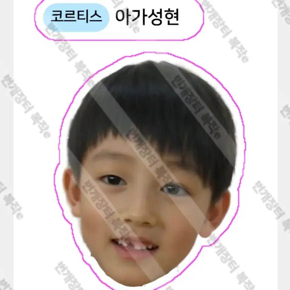코르티스 아가 건호 제임스 성현 띠부씰 스티커 포카 주훈 마틴 비공굿 2