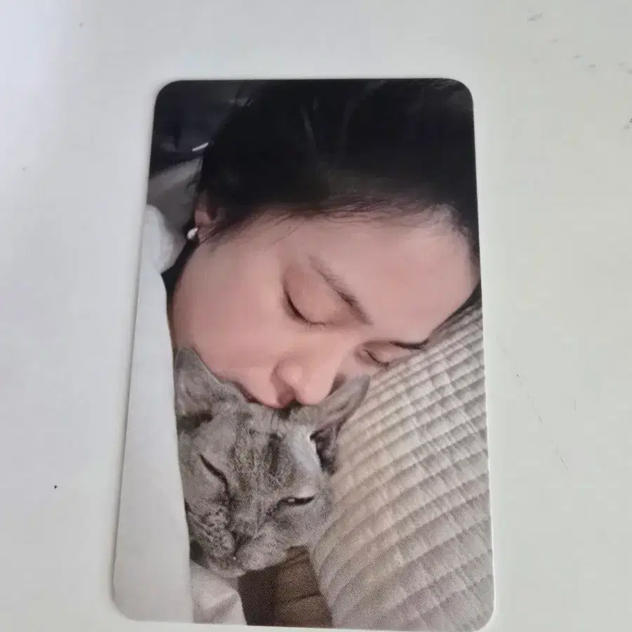 있지 모토 류진 공방포카