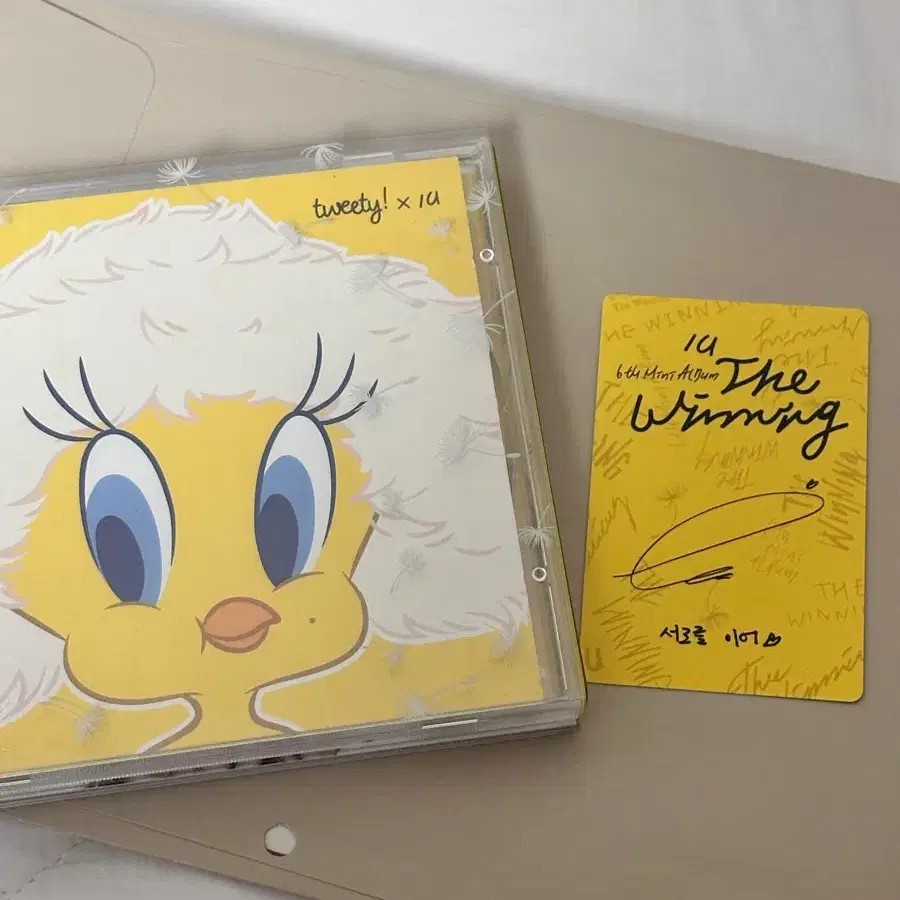 아이유 CD / 포토카드 동봉 2