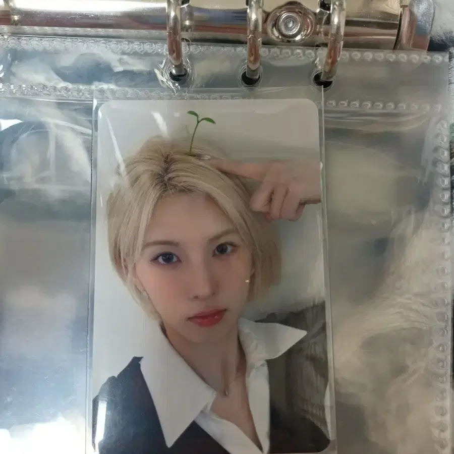 급전!! 엔믹스 메이크스타 새싹 배이 미공포 포카 1