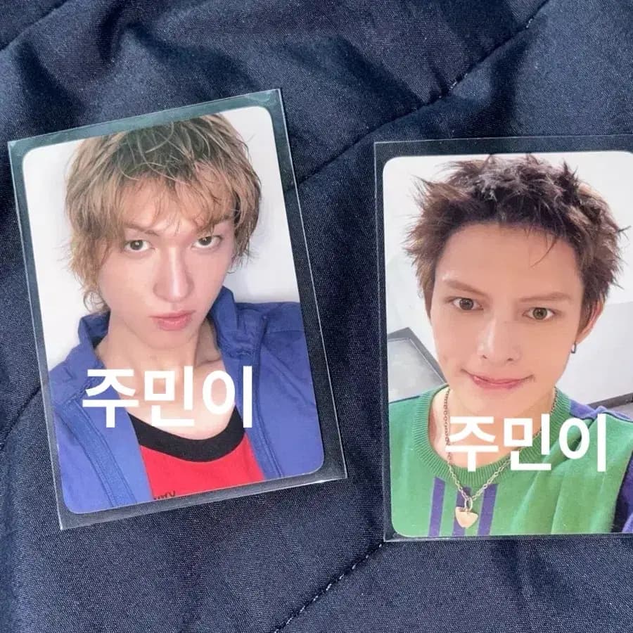 코르티스 그린그린 마틴 제임스 공방포카