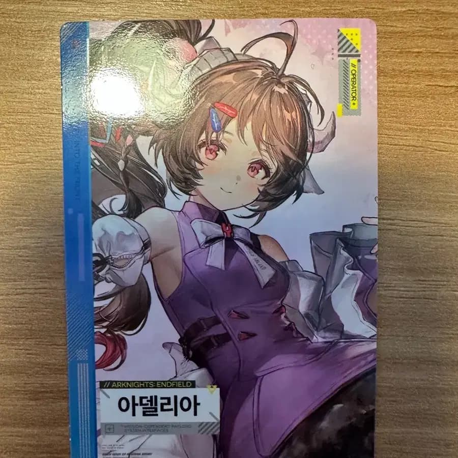 엔드필드 GS25 포토카드 아델리아 1