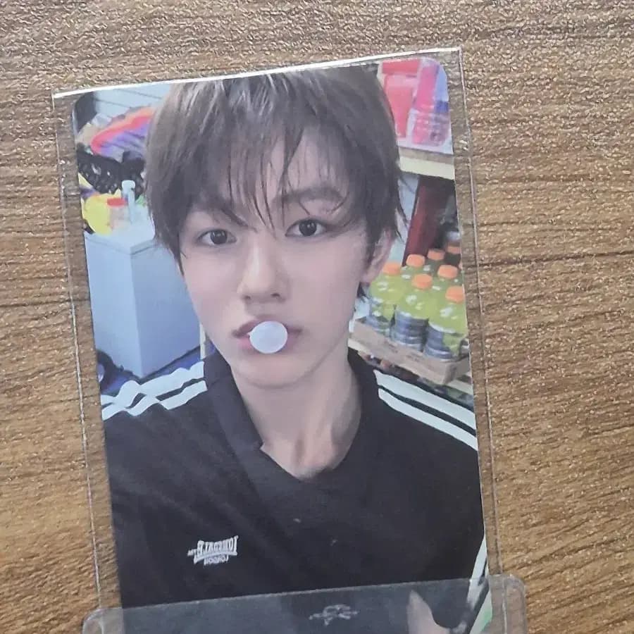 코르티스 성현 럭드 포카 포토카드 비트로드