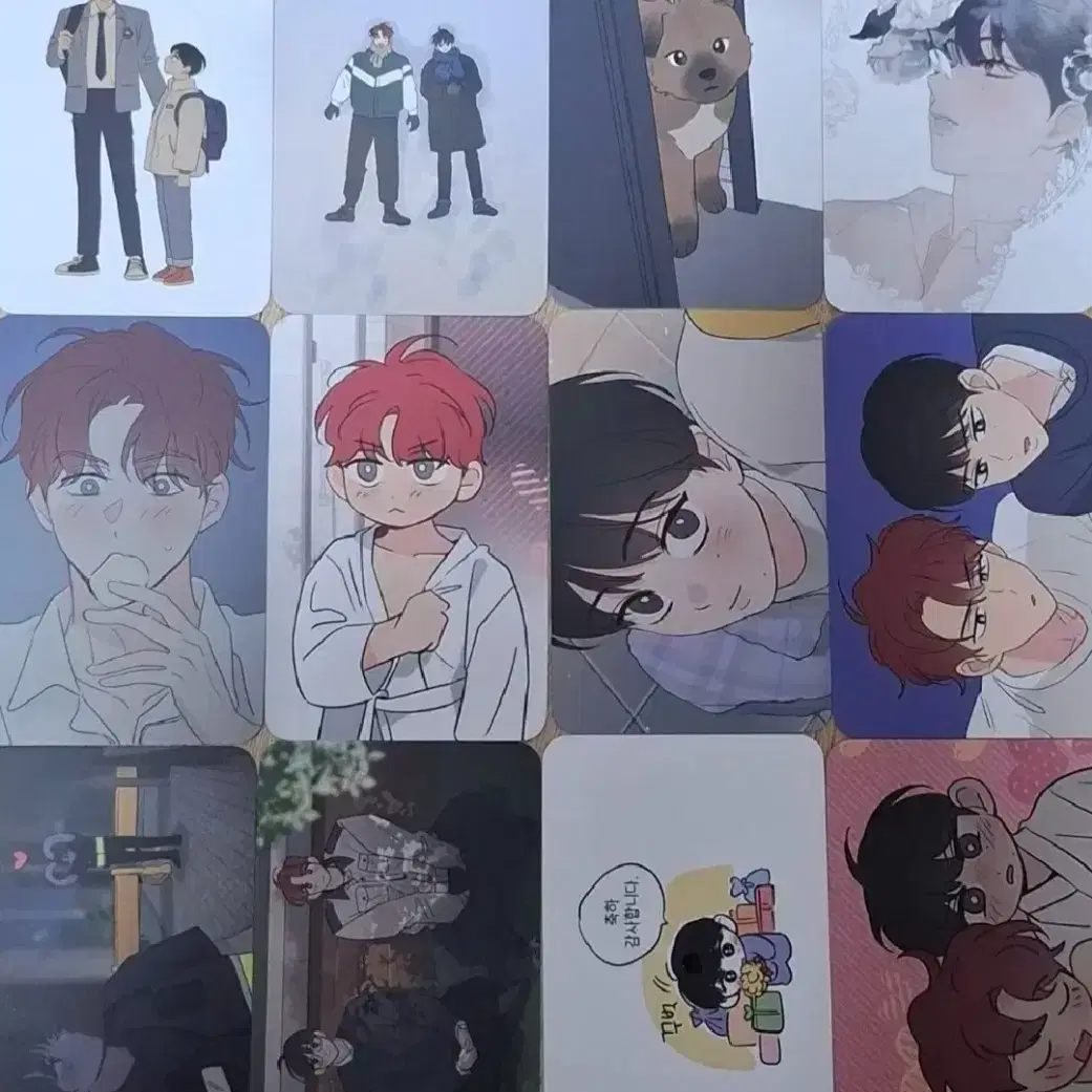 투니크 꿈자리가 이상한데요 꿈자리 방문 포카 방포 포토카드 판매양도