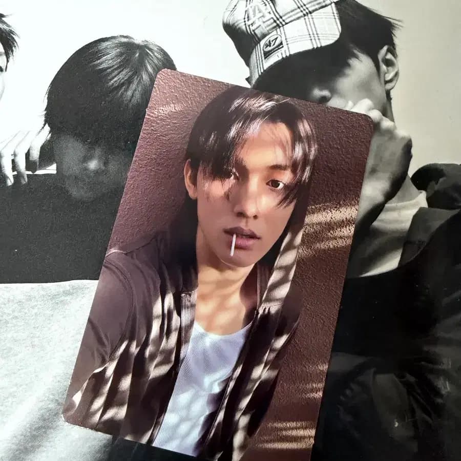 코르티스 성현 그린그린 위버스 앨범 포카 양도