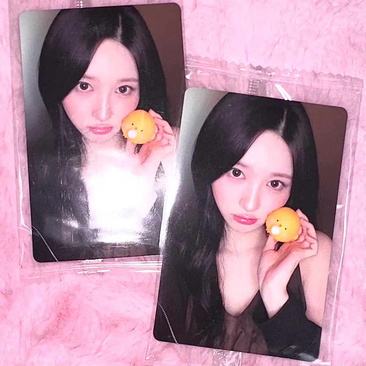아이브 리바이브 revive+ 케타포 병아리 가을 포카 양도 미공포 특전 1