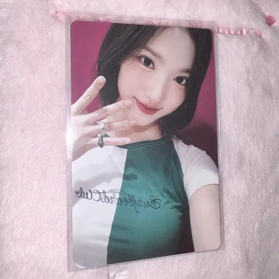 하츠투하츠 지우 패키지 앨범 포카 미공포 양도 레몬탱 더체이스 루드 2