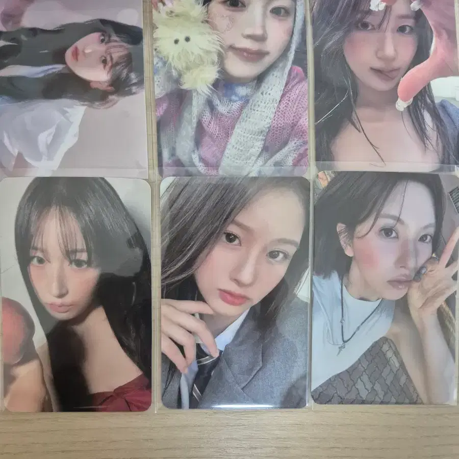 엔믹스 포토카드 릴리 해원 설윤 배이 지우 규진 2