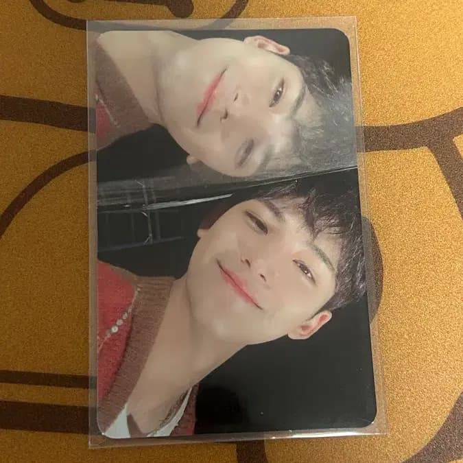 세븐틴 민규 헹가래 포카