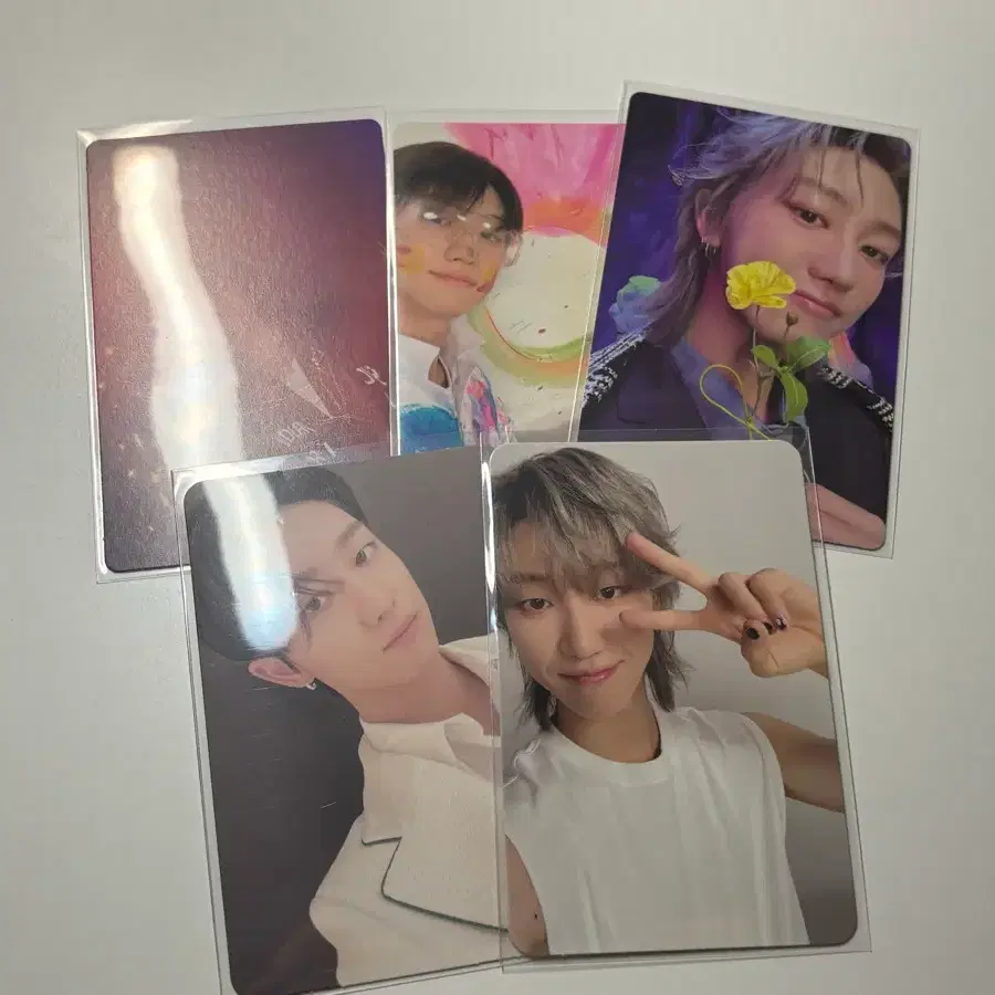 세븐틴 디에잇 포카양도