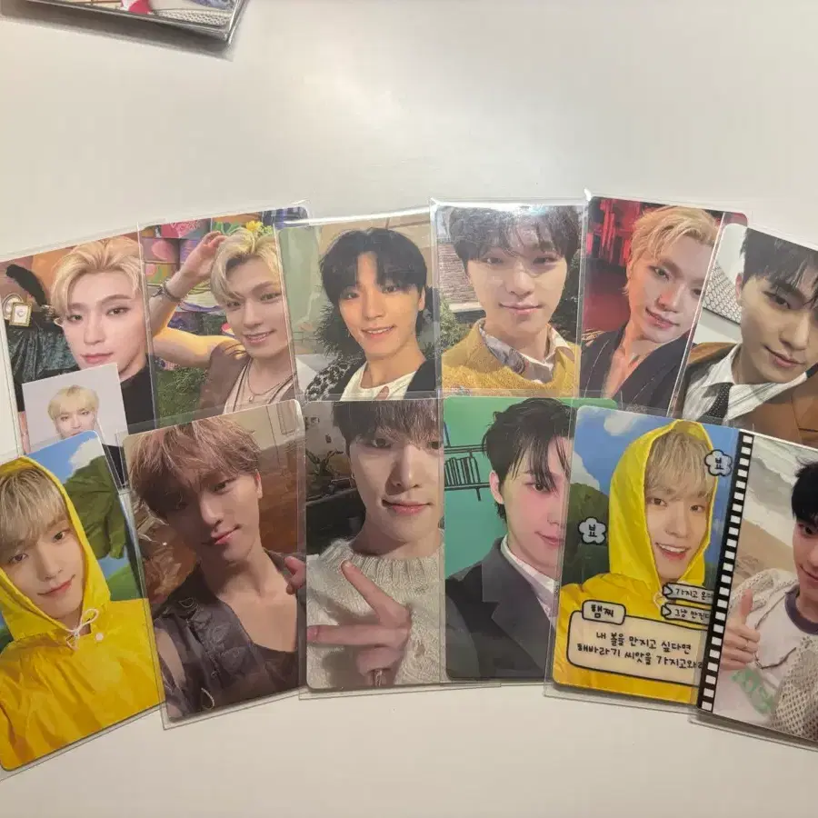 세븐틴 디노 포카양도